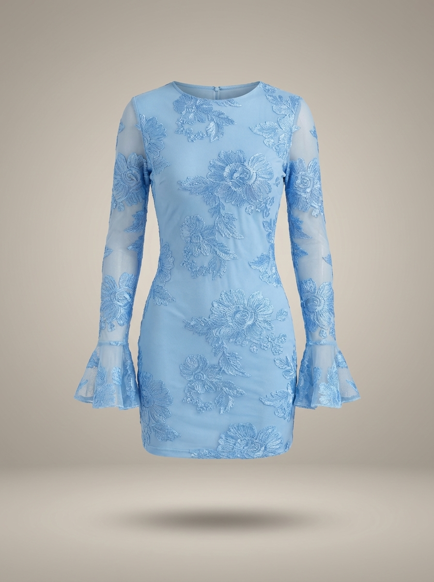 Women's Floral Embroidered Mesh Mini Dress