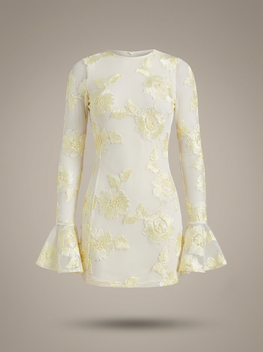 Women's Floral Embroidered Mesh Mini Dress