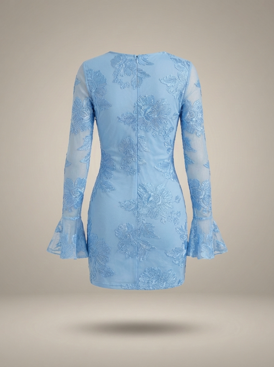 Women's Floral Embroidered Mesh Mini Dress