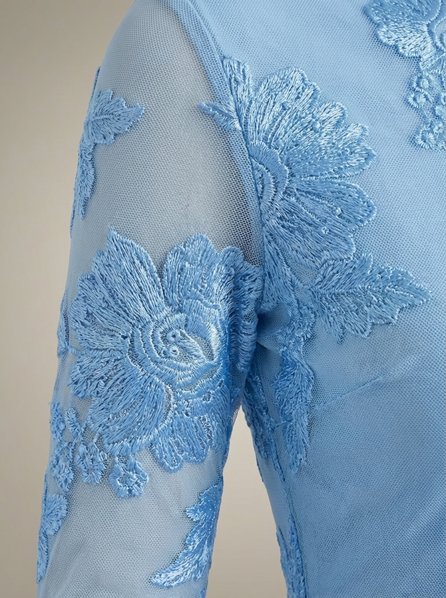 Women's Floral Embroidered Mesh Mini Dress